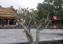 TOURISTS IN Central Vietnam Heritage Road 7 day tour